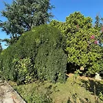 Borgo Caprari 게스트하우스 Albinea
