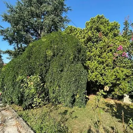 Borgo Caprari Maison d'hôtes Albinea