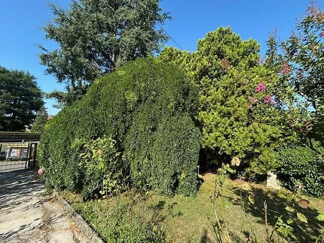 Borgo Caprari Affittacamere Albinea